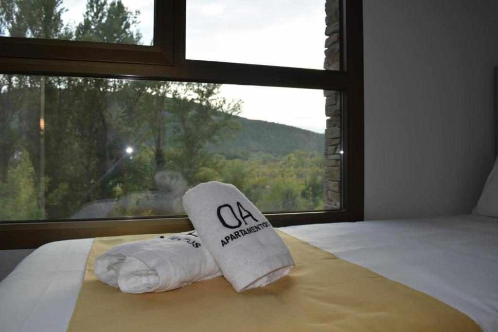 Apartamentos Ordesa 아인사 객실 사진