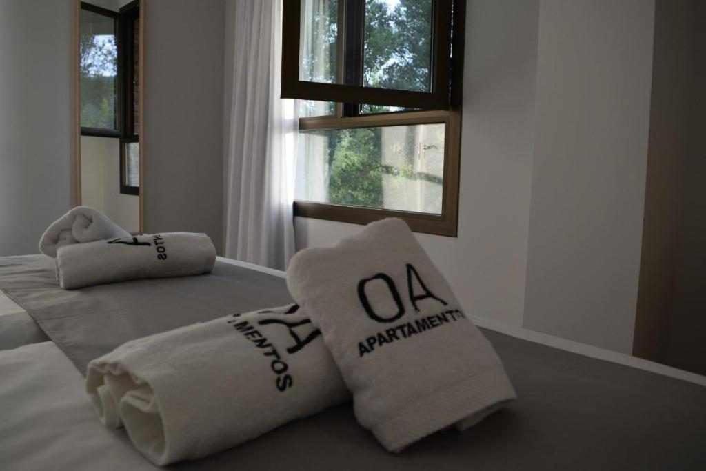 Apartamentos Ordesa 아인사 객실 사진