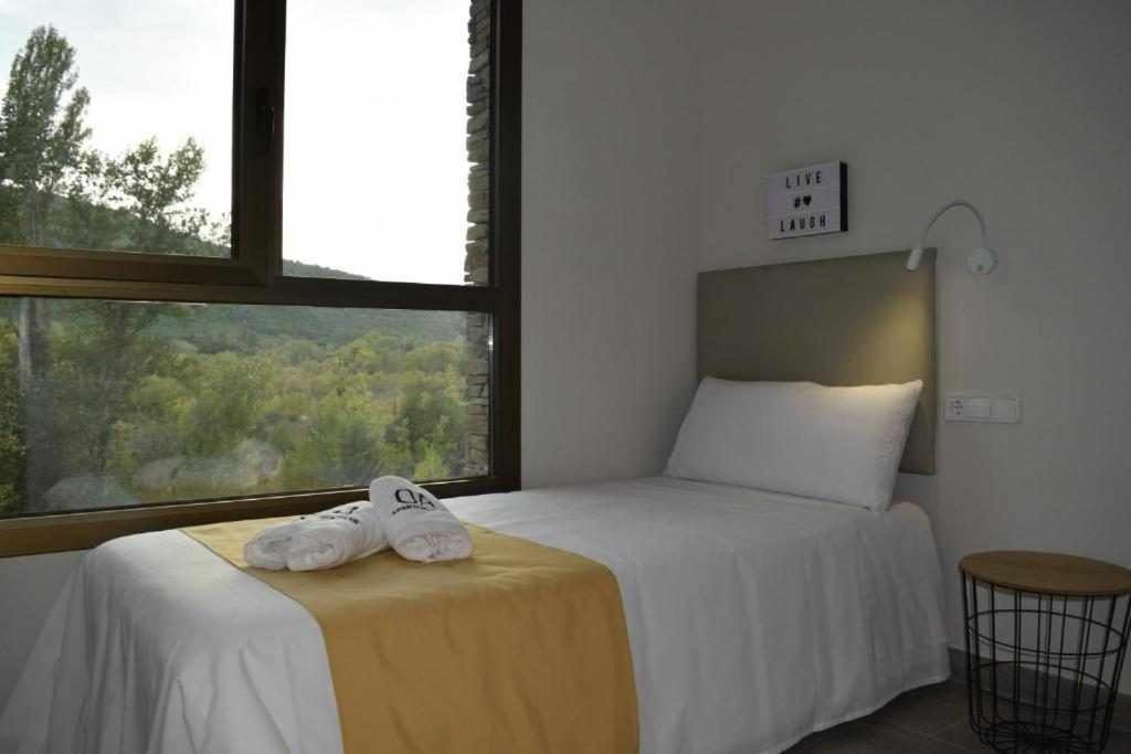 Apartamentos Ordesa 아인사 객실 사진