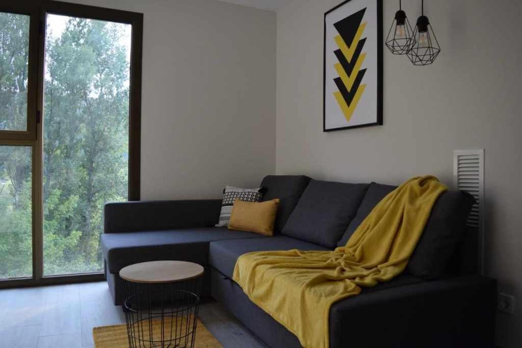 Apartamentos Ordesa 아인사 객실 사진