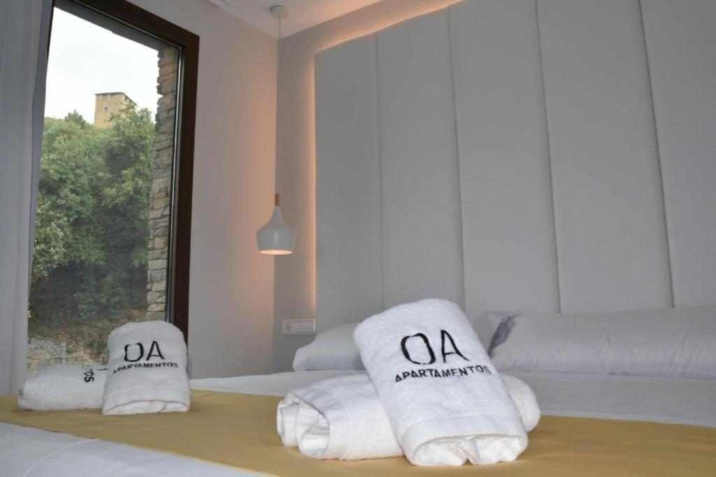 Apartamentos Ordesa 아인사 객실 사진